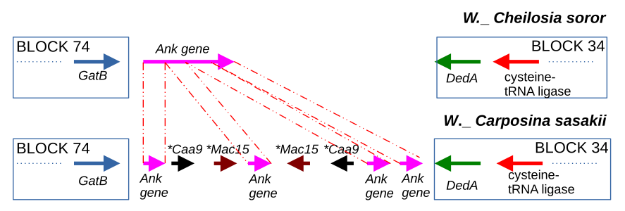 Research picture